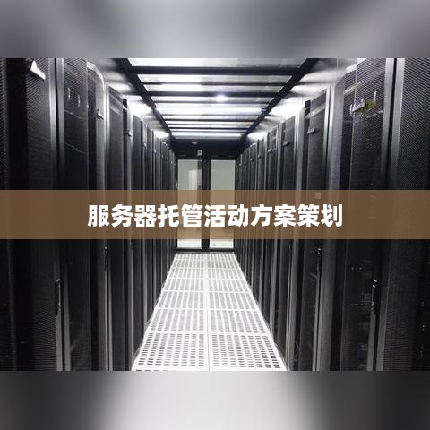 服务器托管活动方案策划