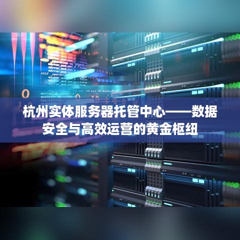 杭州实体服务器托管中心——数据安全与高效运营的黄金枢纽