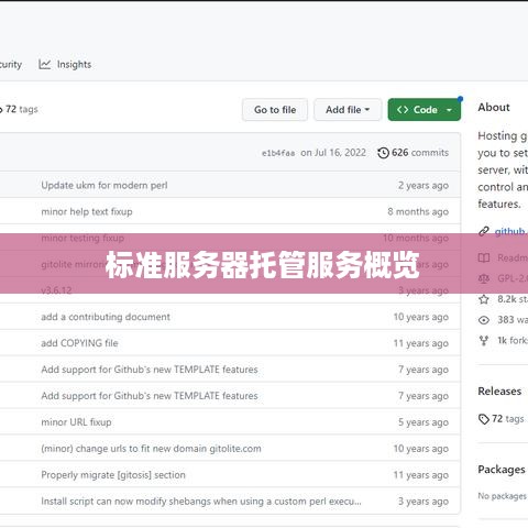 标准服务器托管服务概览