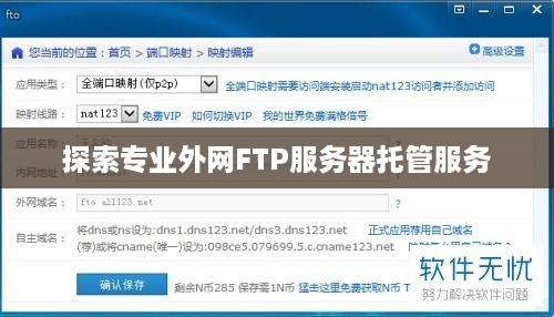 探索专业外网FTP服务器托管服务