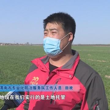 江西远程服务器托管价格解析