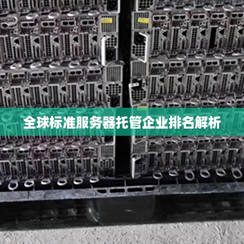 全球标准服务器托管企业排名解析