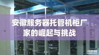 安徽服务器托管机柜厂家的崛起与挑战