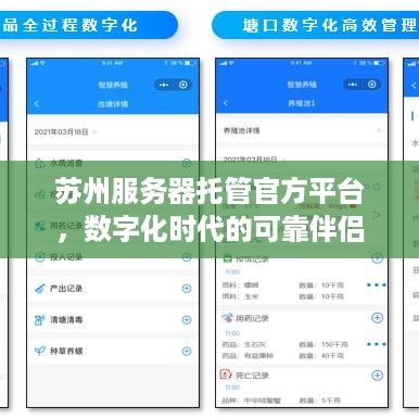 苏州服务器托管官方平台，数字化时代的可靠伴侣
