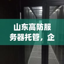 山东高防服务器托管，企业数据安全的新堡垒