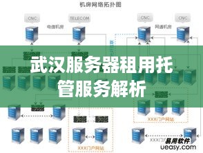 武汉服务器租用托管服务解析