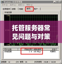 托管服务器常见问题与对策分析
