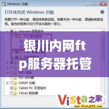 银川内网ftp服务器托管服务概览