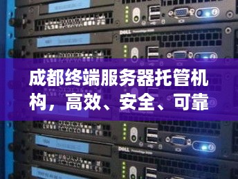 成都终端服务器托管机构，高效、安全、可靠的数据守护者