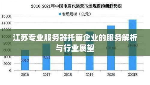 江苏专业服务器托管企业的服务解析与行业展望