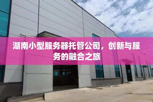 湖南小型服务器托管公司，创新与服务的融合之旅