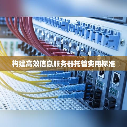 构建高效信息服务器托管费用标准