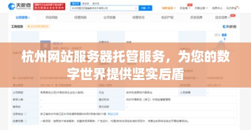 杭州网站服务器托管服务，为您的数字世界提供坚实后盾