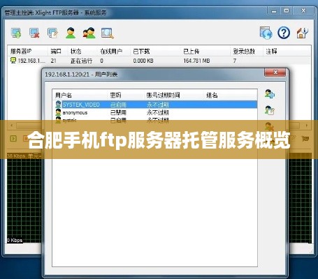 合肥手机ftp服务器托管服务概览