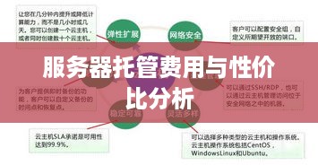 服务器托管费用与性价比分析