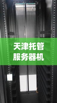 天津托管服务器机箱厂家——引领数据中心新纪元