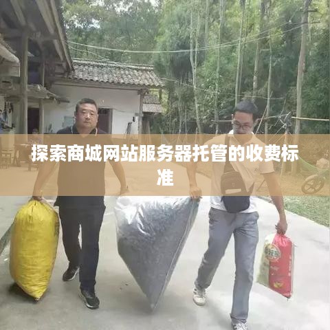 探索商城网站服务器托管的收费标准