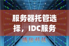 服务器托管选择，IDC服务商的全面对比与评估