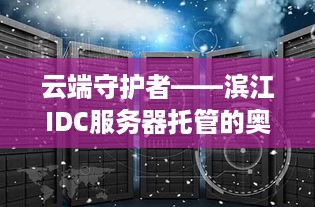 云端守护者——滨江IDC服务器托管的奥秘