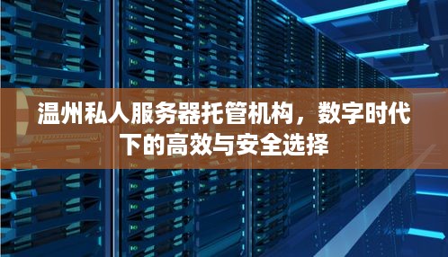 温州私人服务器托管机构，数字时代下的高效与安全选择