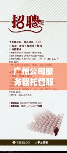 广州公司服务器托管服务招聘启事