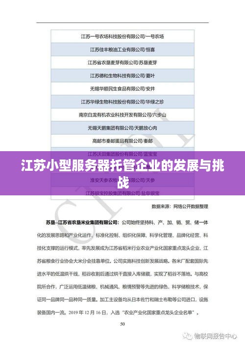 江苏小型服务器托管企业的发展与挑战