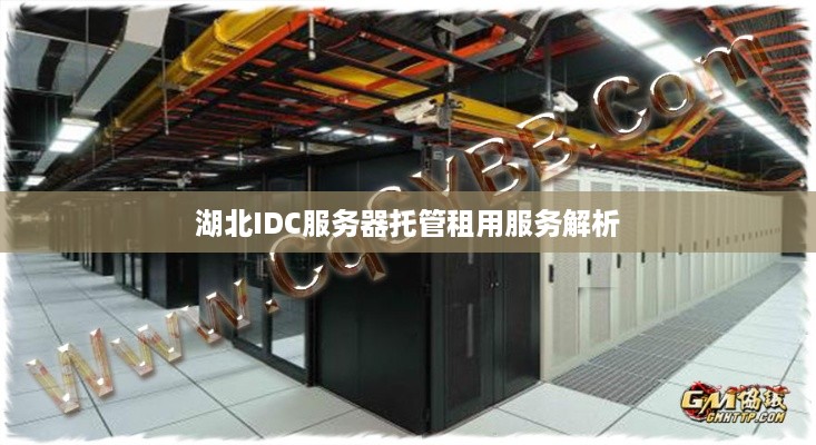 湖北IDC服务器托管租用服务解析