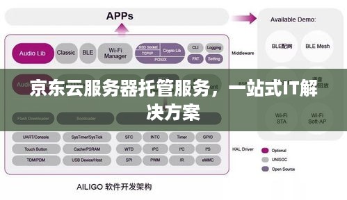 京东云服务器托管服务，一站式IT解决方案