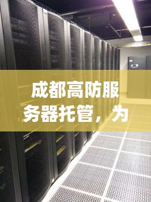 成都高防服务器托管，为企业网络提供坚实屏障