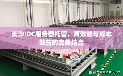 长沙IDC服务器托管，高效能与成本效益的完美结合