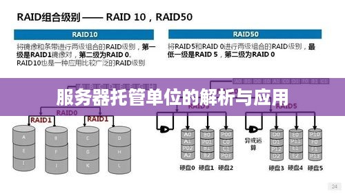 服务器托管单位的解析与应用