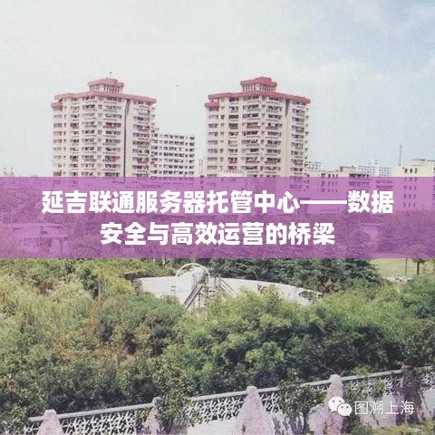 延吉联通服务器托管中心——数据安全与高效运营的桥梁