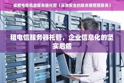 租电信服务器托管，企业信息化的坚实后盾