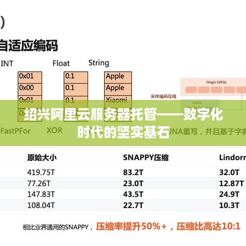 绍兴阿里云服务器托管——数字化时代的坚实基石