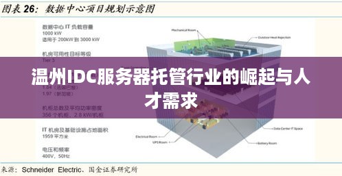 温州IDC服务器托管行业的崛起与人才需求