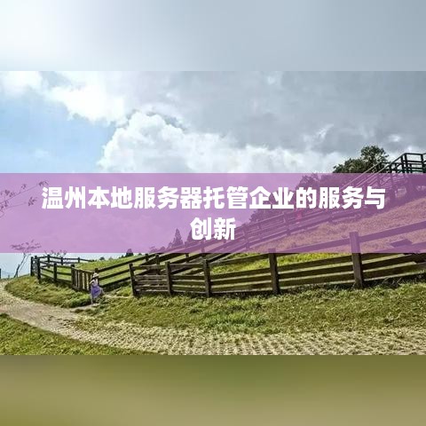 温州本地服务器托管企业的服务与创新