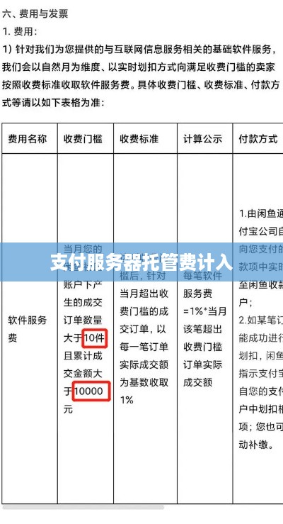 支付服务器托管费计入