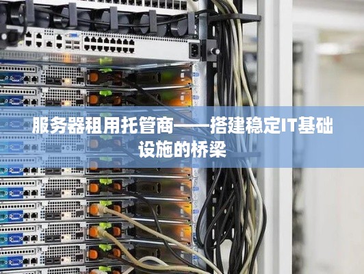 服务器租用托管商——搭建稳定IT基础设施的桥梁