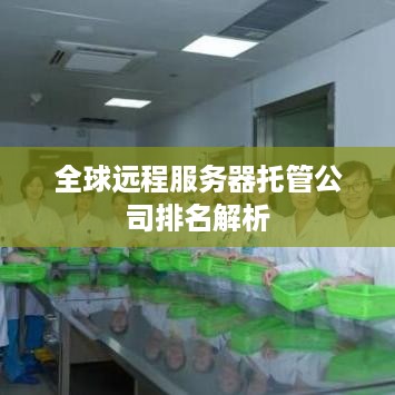 全球远程服务器托管公司排名解析