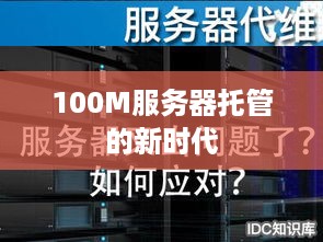 100M服务器托管的新时代