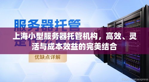 上海小型服务器托管机构，高效、灵活与成本效益的完美结合