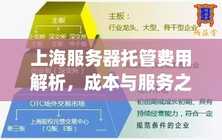 上海服务器托管费用解析，成本与服务之权衡