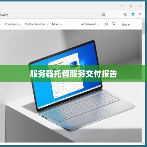 服务器托管服务交付报告