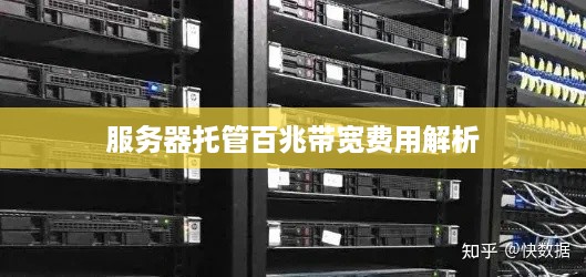 服务器托管百兆带宽费用解析