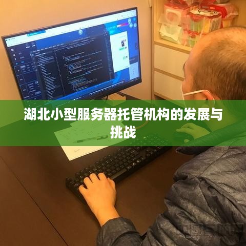 湖北小型服务器托管机构的发展与挑战