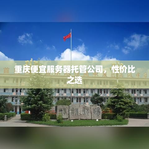 重庆便宜服务器托管公司，性价比之选