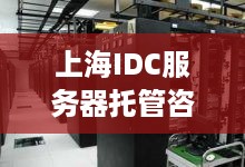 上海IDC服务器托管咨询，企业数据安全的守护神