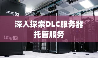 深入探索DLC服务器托管服务