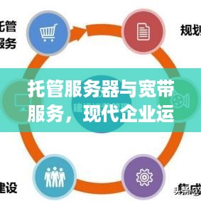 托管服务器与宽带服务，现代企业运营的基石