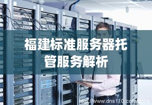 福建标准服务器托管服务解析